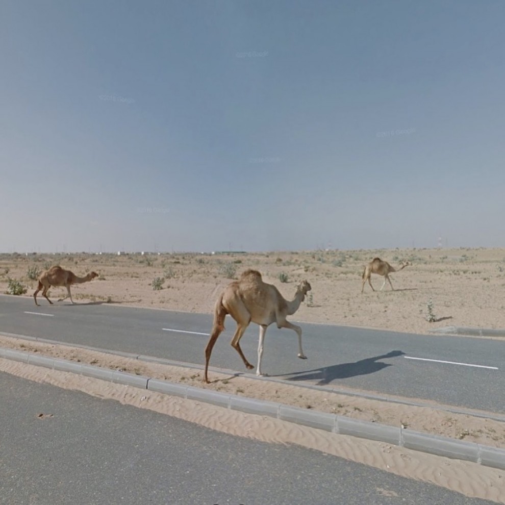 Google Street View 