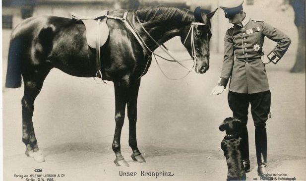  Уникальный альбом с фотографиями царской семьи альбом, царская семья, фото, история