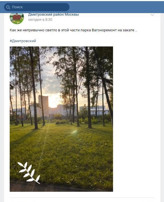Фото дня: солнце на закате в парке «Вагоноремонт»