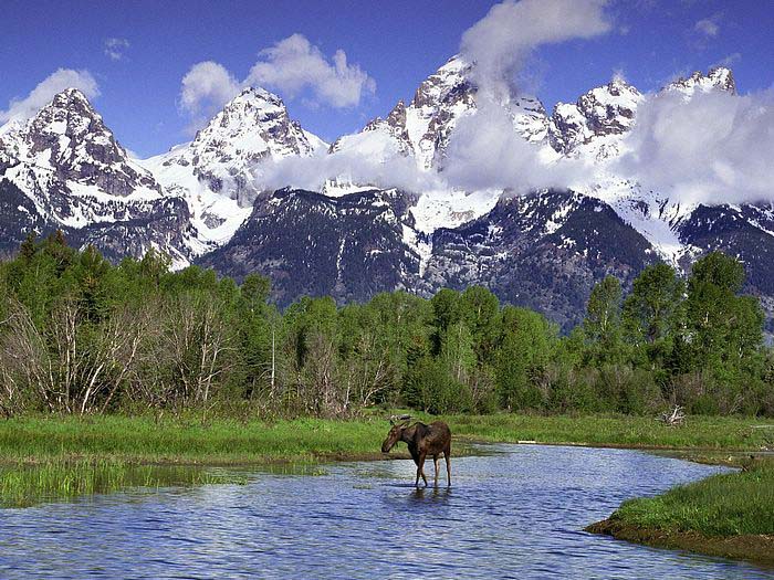 Национальный парк Йеллоустон (Yellowstone).. Фото.