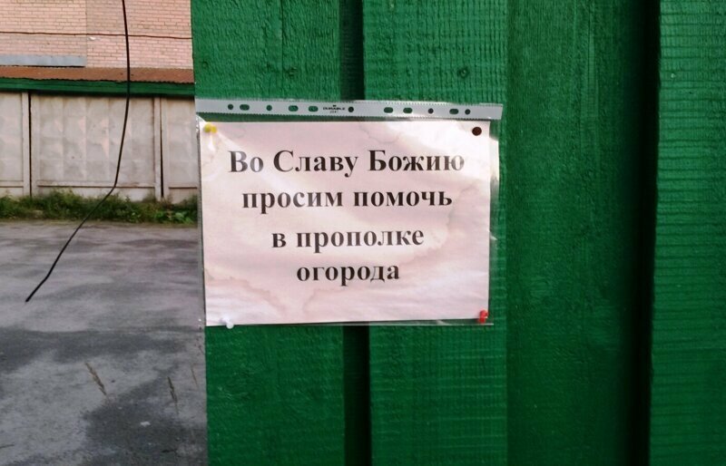 Никак без высших сил при прополке огорода Высшие силы везде помогут
(21 фото)