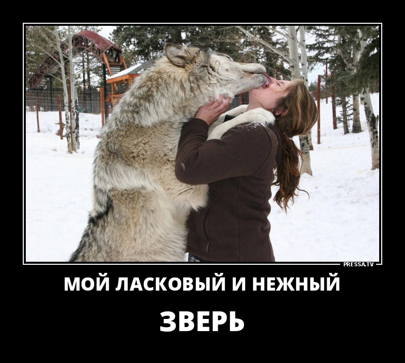 Позитивные летние демотиваторы о жизни Позитивные летние демотиваторы о жизни