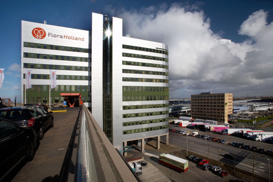 | NewsInPhoto.ru Новости и репортажи в фотографияхГолландский цветочный аукцион FloraHolland (13)