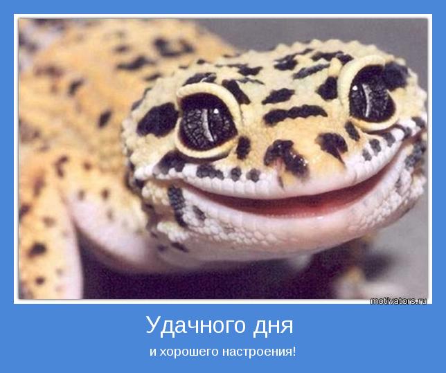 Жизненная ситуация. Разговоры с неприличностями.