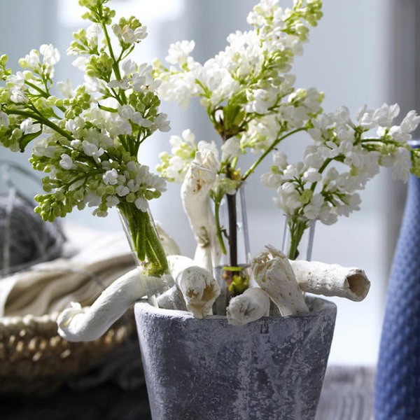 32 
������������ �������� ������ ������: ���� (40 ����)