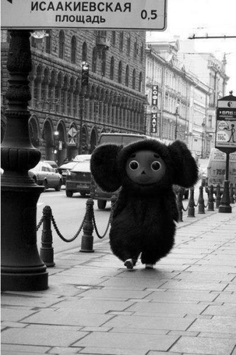 Такое возможно только в России. Часть 6. (60 фото)