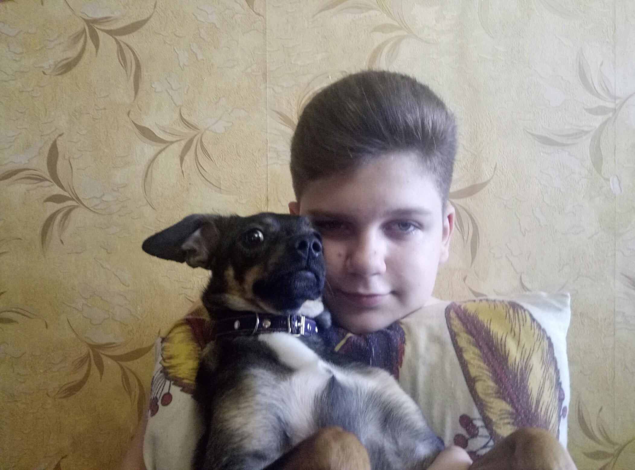 спасение щенка ребенок с собакой