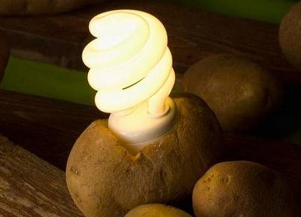 7 удивительных способов применения картофеля не по назначению 7 удивительных способов применения картофеля не по назначению