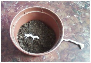 Фитильный полив