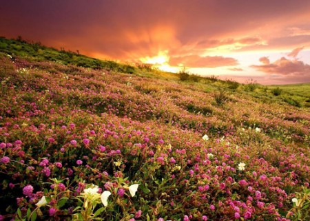 Самые красивые места на земле