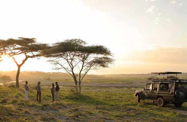 Национальный парк Серенгети serengeti