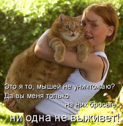 КОТЭ как есть КОТЭ