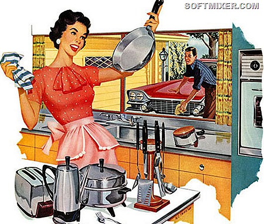 флай-леди флай-леди