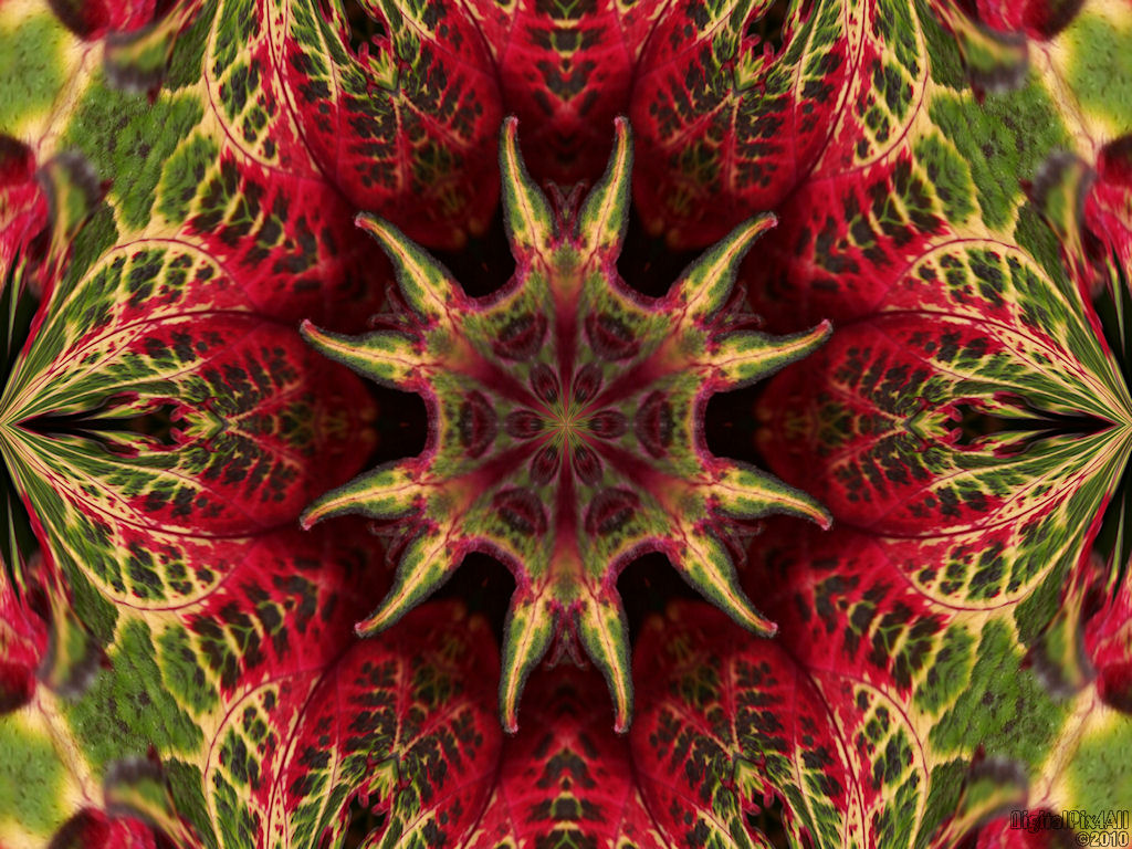 Картинка 562 из 10410