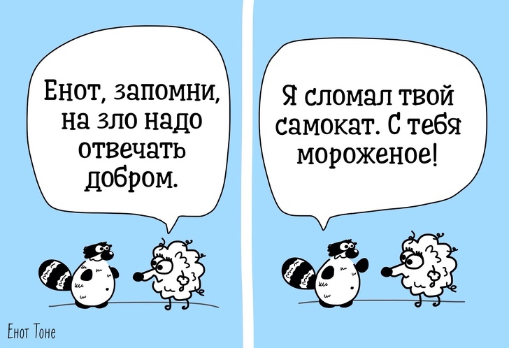 Пара из Петербурга рисует комиксы о ленивом еноте, который чем-то похож на каждого из нас