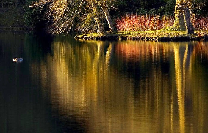 Дивная красота нашей матушки-Земли от Михалыча