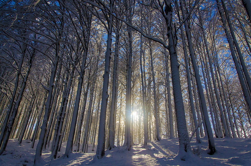 Gorgeous Winter Landscapes 16   