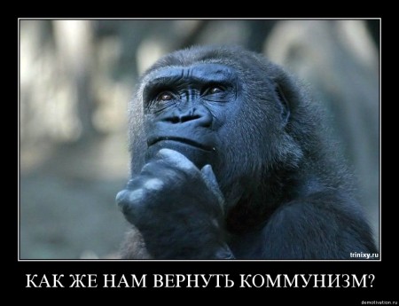 Эти забавные животные Эти забавные животные