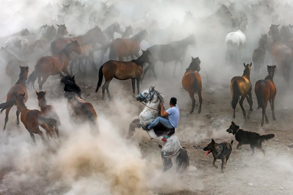 Победители фотоконкурса 1x Photo Awards 2017/18 10