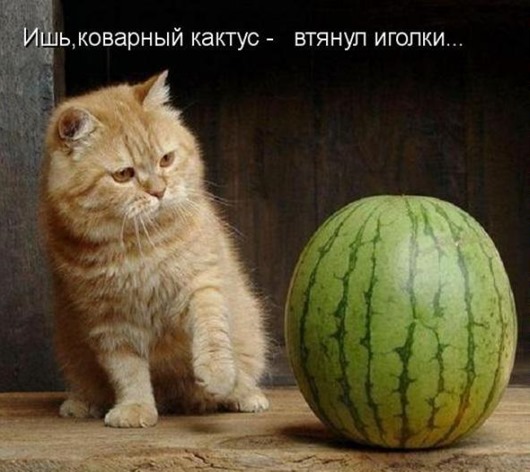 37b372af776b619d2b423c29827_prev