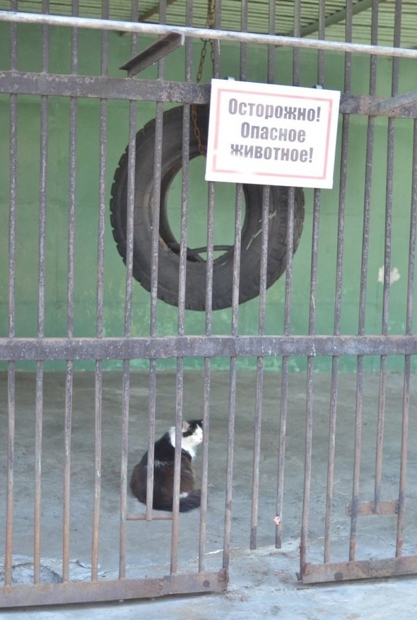 Город — по-настоящему опасное место Город — по-настоящему опасное место WTF?, бетонные джунгли, в городе, город, необычно, опасное место, опасность, прикол