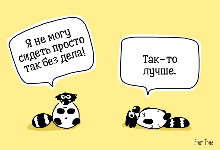 Пара из Петербурга рисует комиксы о ленивом еноте, который чем-то похож на каждого из нас