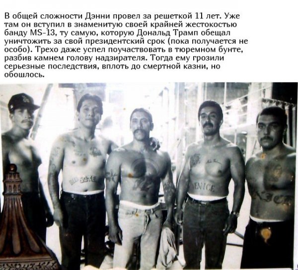 Интересные факты из жизни актера Дэнни Трехо Интересные факты из жизни актера Дэнни Трехо