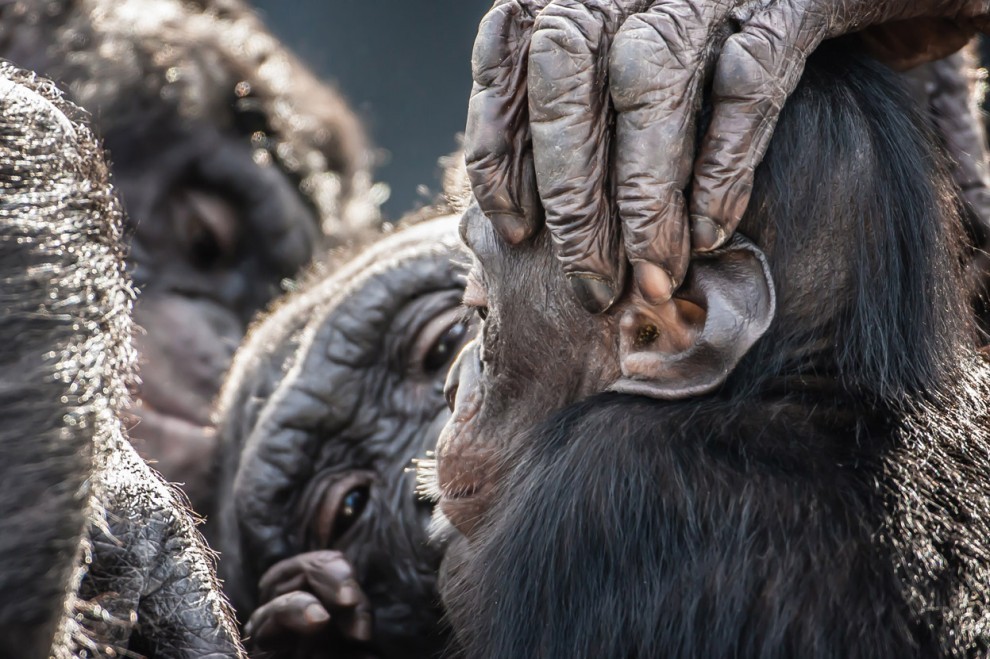 NatGeoTraveler20 NatGeoTraveler20 Фотоконкурс от журнала National Geographic Traveler 2013 (Часть 2)