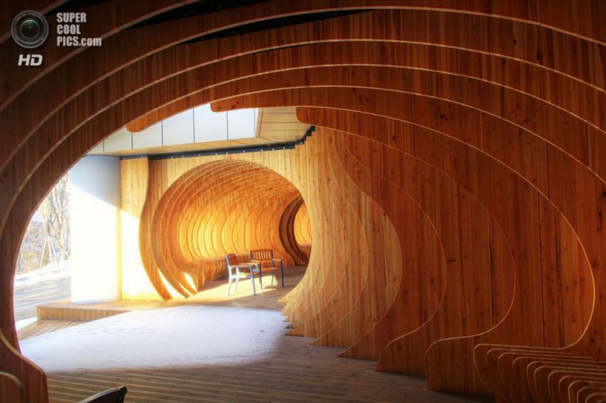 студент, отдых