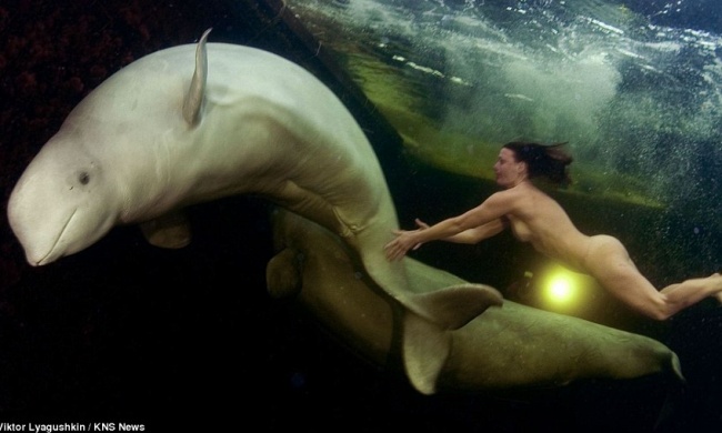 Принцесса китов