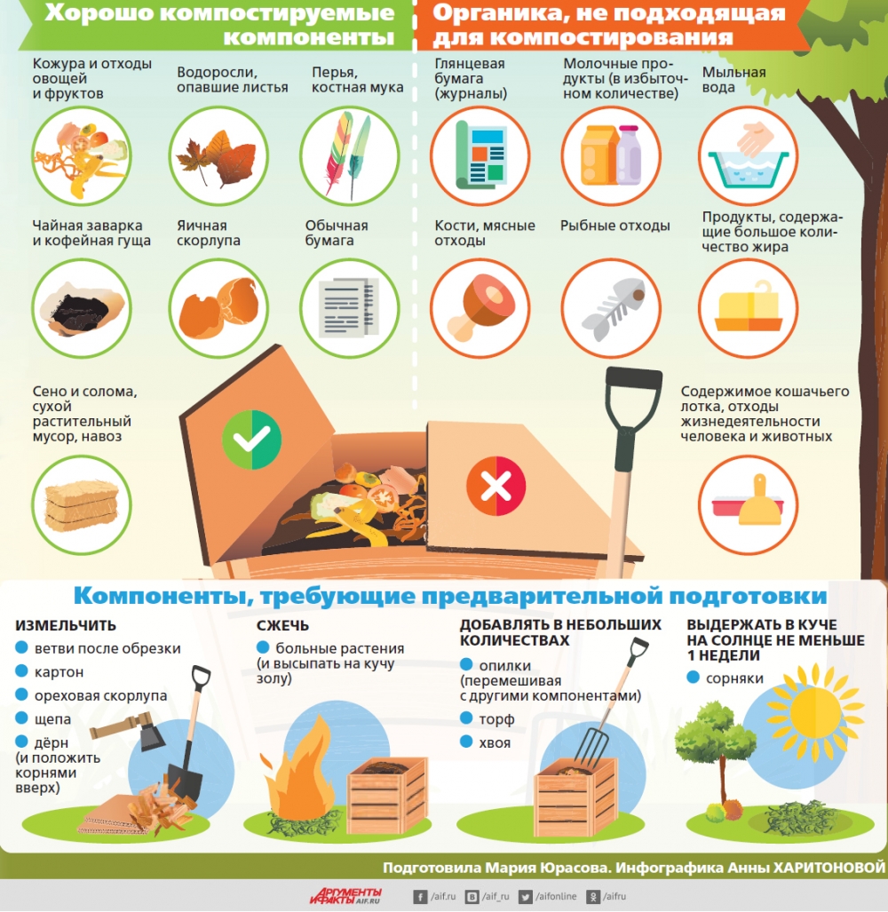 Что кладём в компост? Инфографика