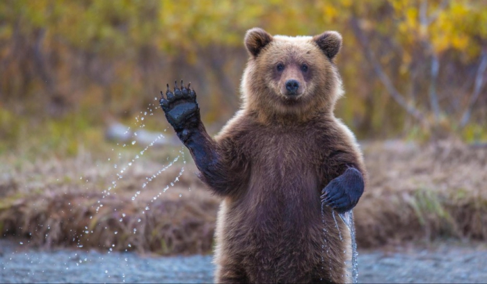 Природа может удивлять! Природа может удивлять!