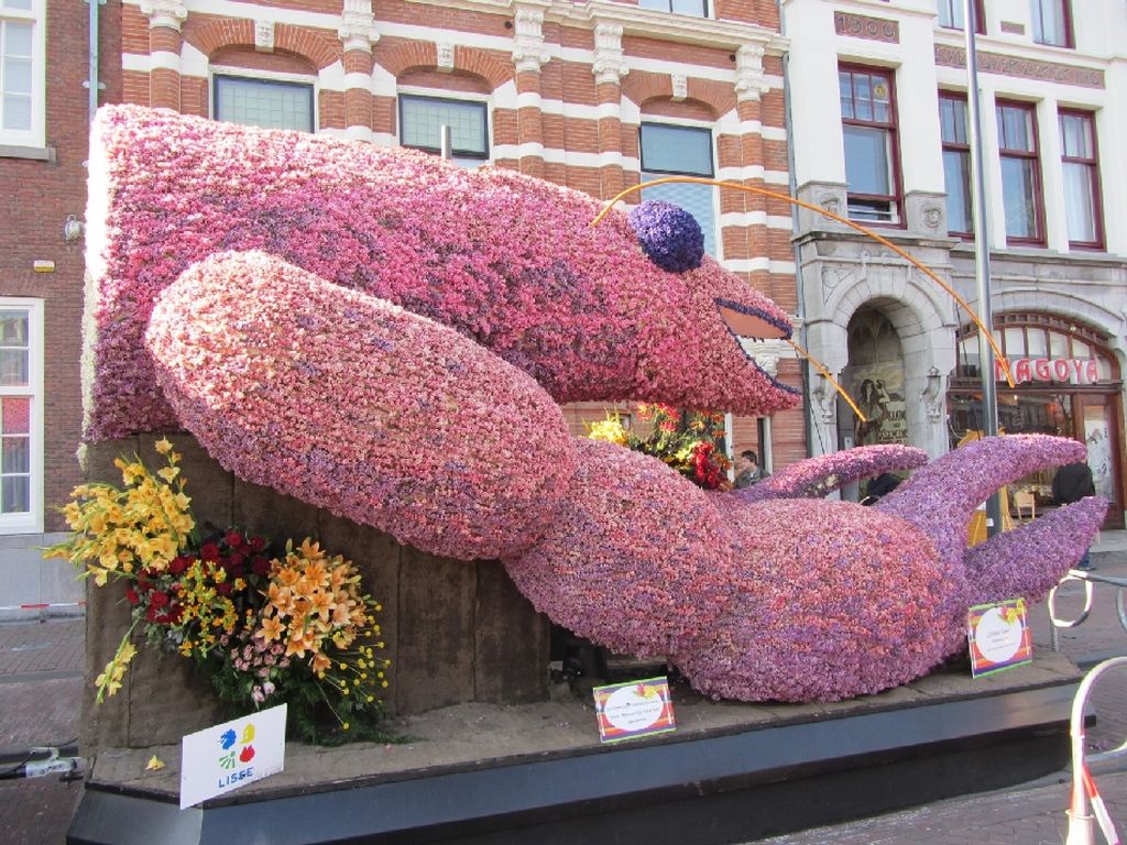 NewPix. ru -    Bloemencorso