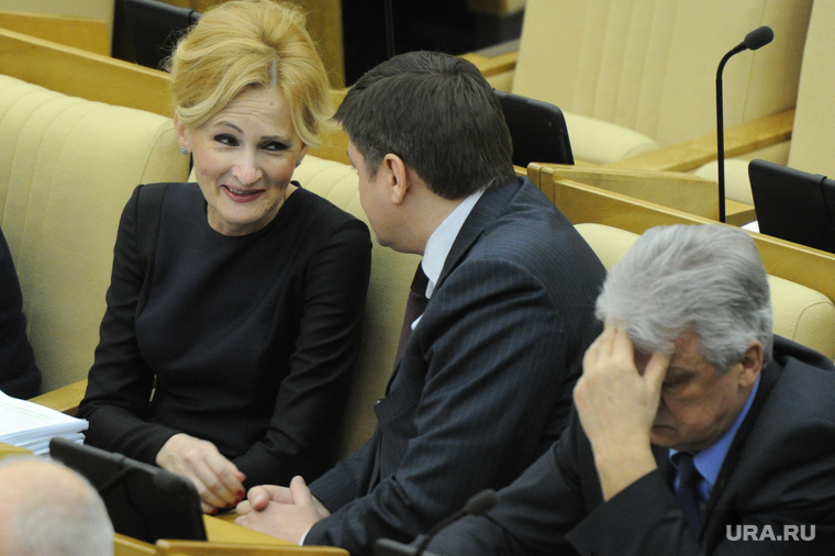 Пленарное заседание Государственной Думы РФ. 27 февраля 2015г., яровая ирина