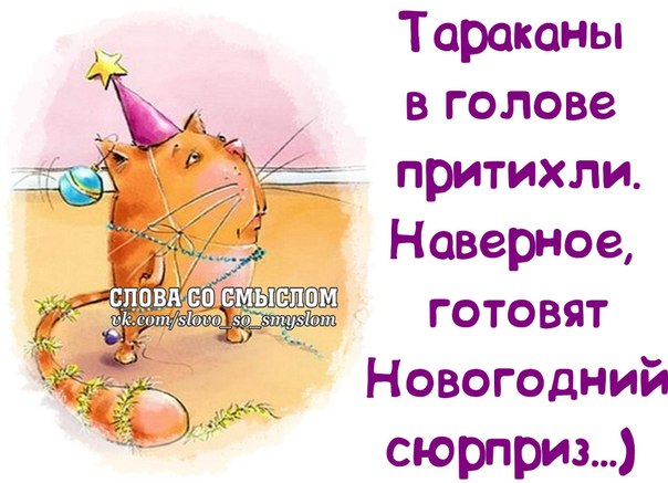 Смешные высказывание про новый год Смешные высказывание про новый год