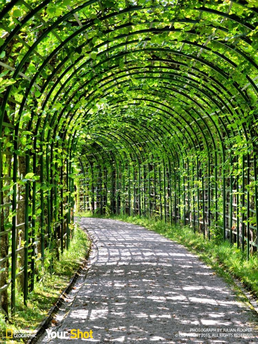 25 поразительных фотографий 25 поразительных фотографий