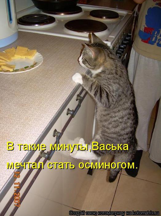 Котоматрица 28 (524x700, 61Kb)