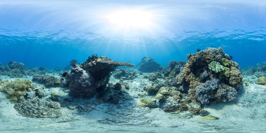 Explore coral reefs 16 Коралловые рифы в фотографиях