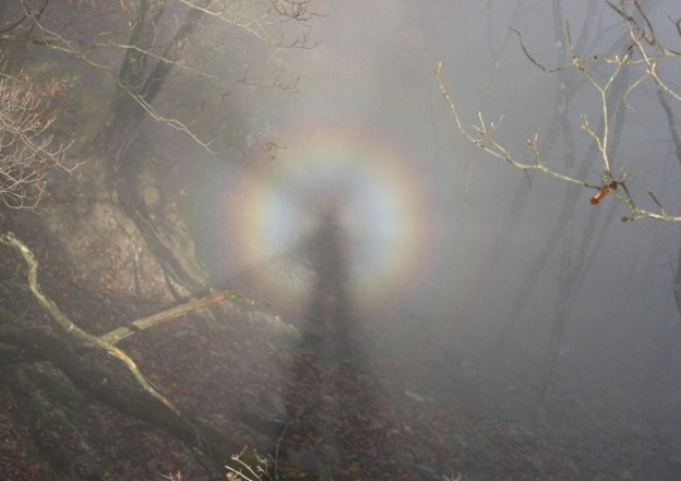 14 световых феноменов в фотографиях