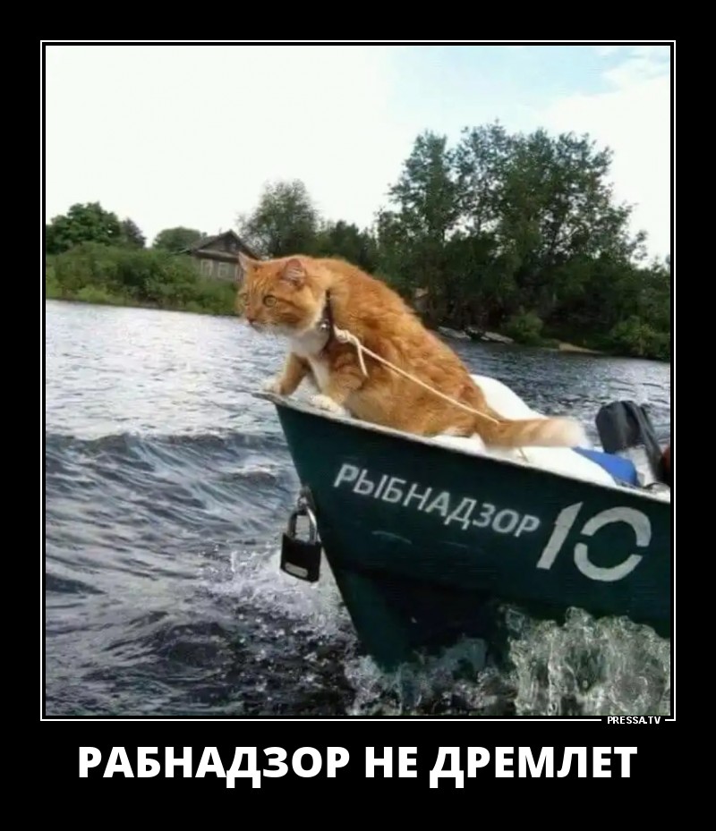 Позитивные летние демотиваторы о жизни Позитивные летние демотиваторы о жизни