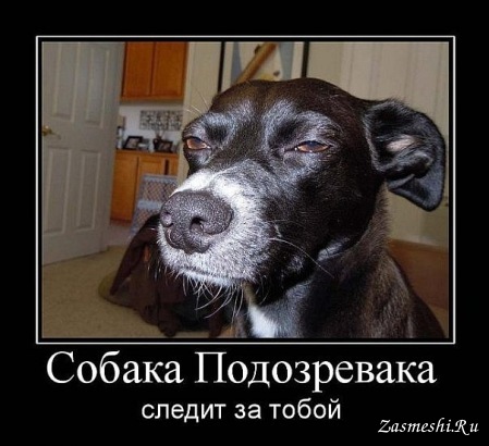 ÐаÑÑинки по запÑоÑÑ Ð¡Ð»ÐµÐ´Ð¸Ñ Ð·Ð° Ñобой
