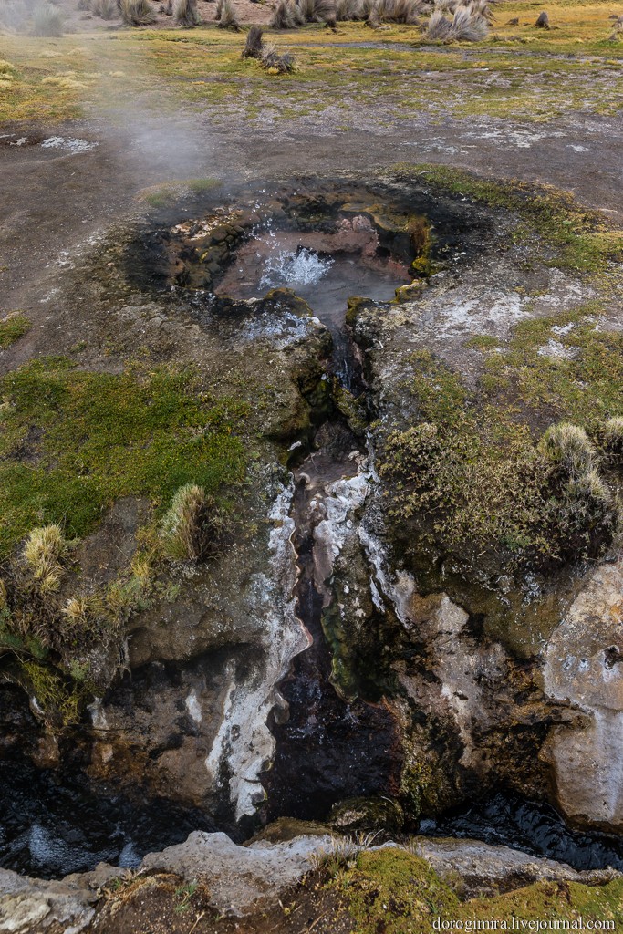 Sajama17 Национальный парк Сахама