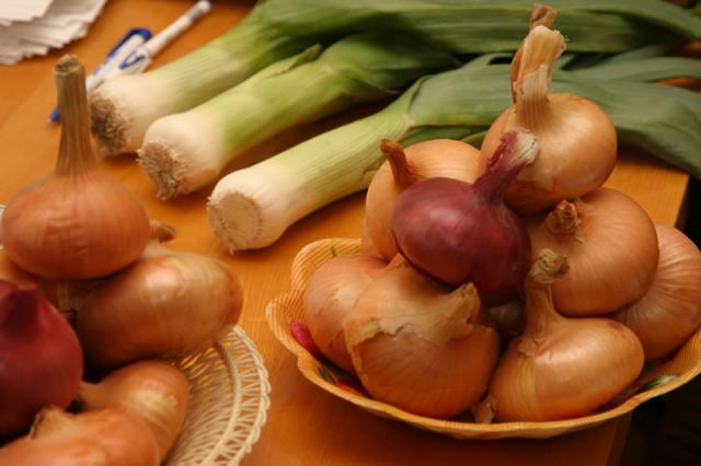 Food Onions Vegetable Herbs Italian-20 Inch By 30 Inch Laminated Poster With Bri