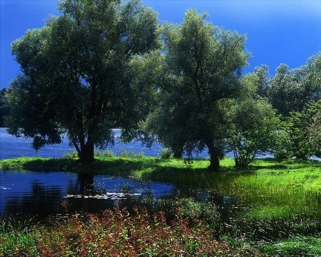 Потрясающая красота природы (37 Фото) Потрясающая красота природы 37 Фото