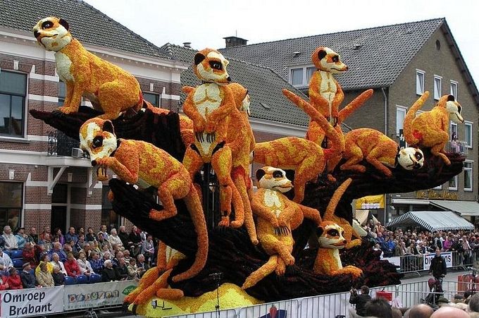 ����������� ��������� ���������� �� ������ Bloemencorso Zundert (8)