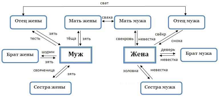 Семейный словарь