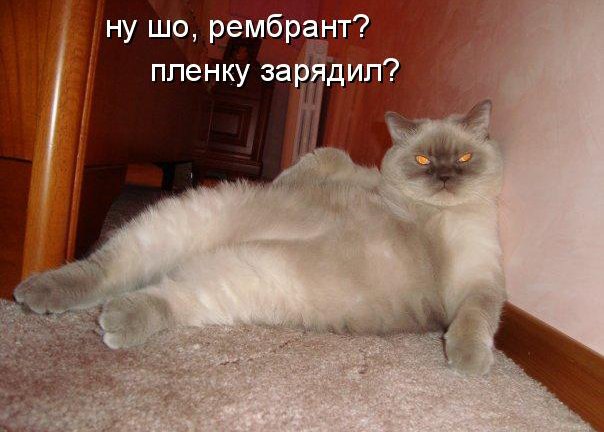 КОТЭ как есть КОТЭ