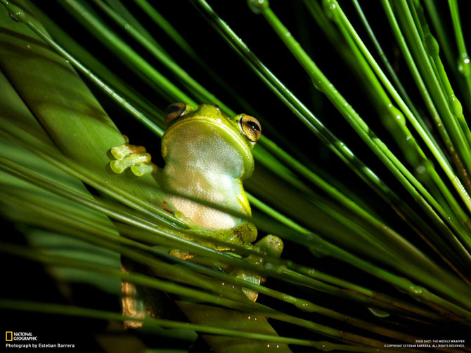 Лучшие фотографии июня от National Geographic