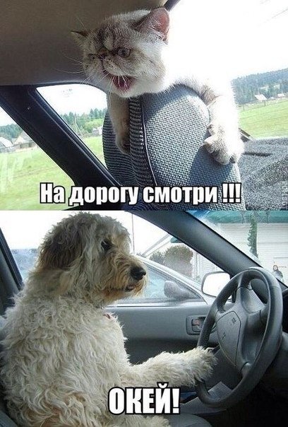 АВТОприколы (27 шт)