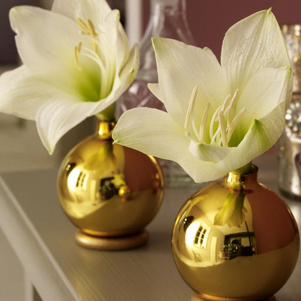 5 
������������ �������� ������ ������: ���� (40 ����)